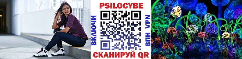 Купить  Голицыно  Галлюциногенные грибы Cubensis 